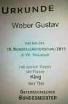 Bundesmeister Wiener Neustadt 2011