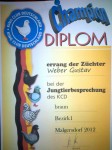 Champion Diplom 2012 , HV 96 , 0.1 Braun