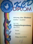 Diplom 2012 , HV 96 , 0.1 Braun